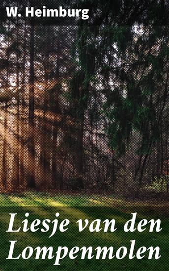 Liesje van den Lompenmolen - Een aangrijpend verhaal over armoede sociale ongelijkheid en doorzettingsvermogen in 19e-eeuws Nederland - cover