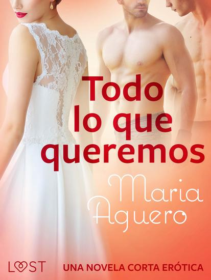 Todo lo que queremos – una novela corta erótica - cover
