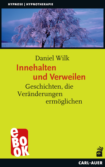 Innehalten und Verweilen - Geschichten die Veränderungen ermöglichen - cover