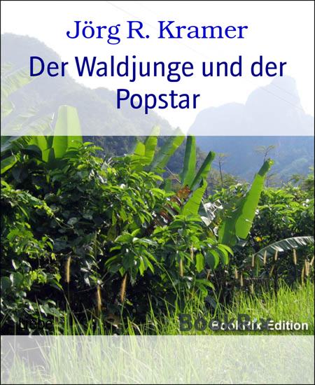 Der Waldjunge und der Popstar - cover