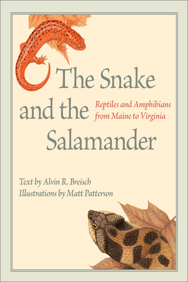 The Snake and the Salamander - Reptiles and Amphibians from Maine to Virginia - cover