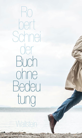 Buch ohne Bedeutung - cover