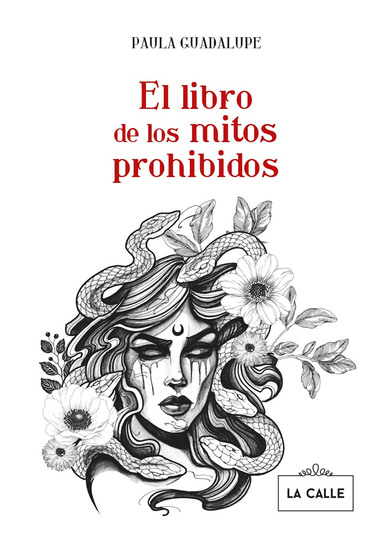El libro de los mitos prohibidos - cover