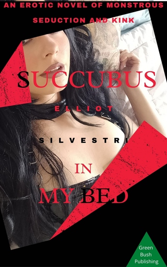 Succubus In My Bed - An Erotic Novel of Monstrous Seduction and Kink - cover