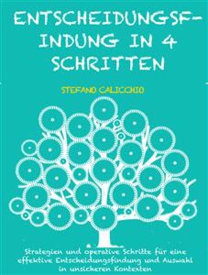 Entscheidungsfindung in 4 schritten - Strategien und operative Schritte für eine effektive Entscheidungsfindung und Auswahl in unsicheren Kontexten - cover