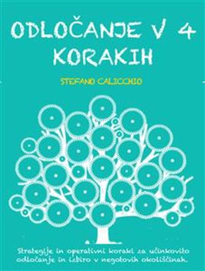 Odločanje v 4 korakih - Strategije in operativni koraki za učinkovito odločanje in izbiro v negotovih okoliščinah - cover