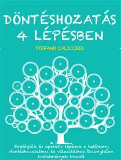 Döntéshozatás 4 lépésben - Stratégiák és operatív lépések a hatékony döntéshozatalhoz és választáshoz bizonytalan körülmények között - cover