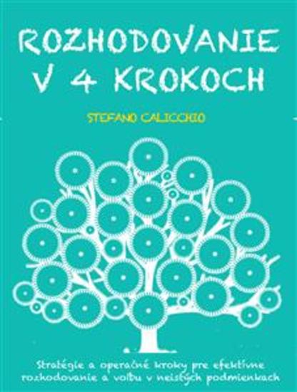 Rozhodovanie v 4 krokoch - Stratégie a operačné kroky pre efektívne rozhodovanie a voľbu v neistých podmienkach - cover