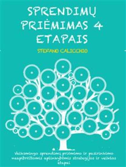 Sprendimų priėmimas 4 etapais - Veiksmingo sprendimų priėmimo ir pasirinkimo neapibrėžtomis aplinkybėmis strategijos ir veiklos etapai - cover