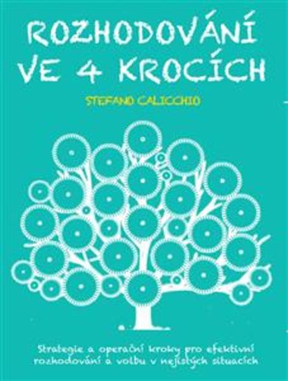 Rozhodování ve 4 krocích - Strategie a operační kroky pro efektivní rozhodování a volbu v nejistých situacích - cover
