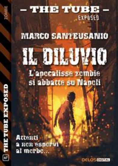 Il diluvio - cover