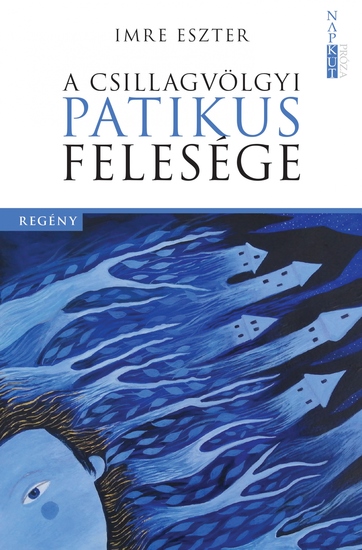 A csillagvölgyi patikus felesége - cover