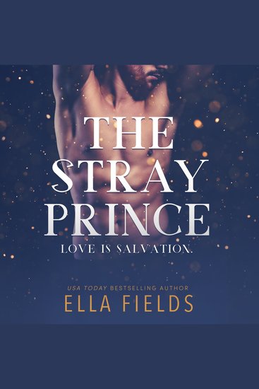 The Stray Prince - cover