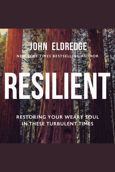 Resilient - Restoring Your Weary Soul in These Turbulent Times - cover