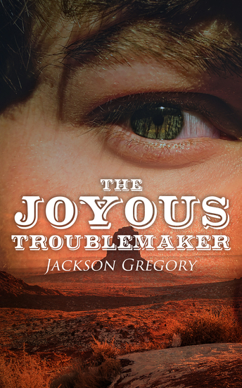 The Joyous Troublemaker - cover