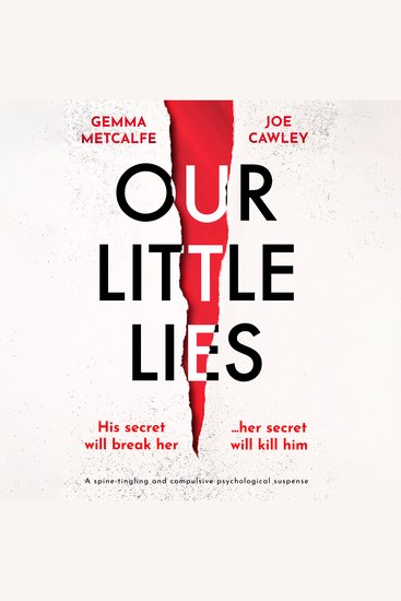 Our Little Lies - cover