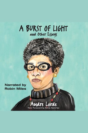A Burst of Light - and Other Essays - cover