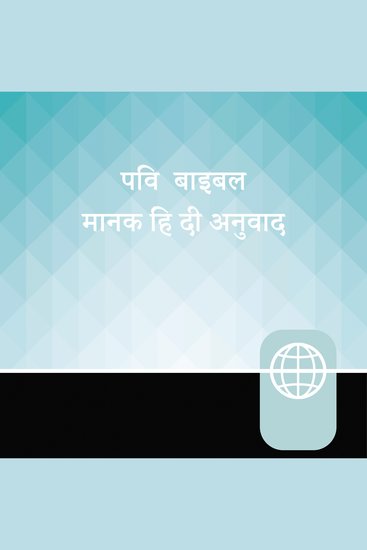 Hindi High Audio Bible New Testament - Manak Hindi Bible - cover
