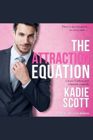 The Attraction Equation - cover