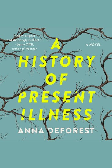 A History of Present Illness - A Novel - cover