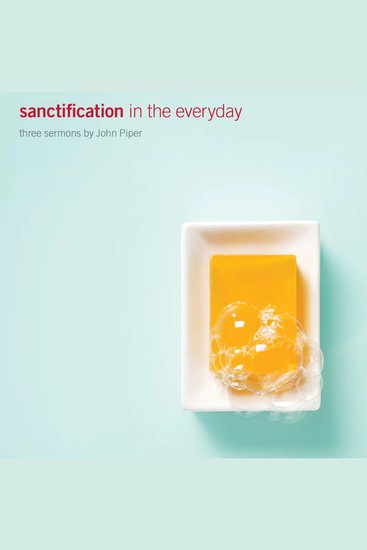 Sanctification in the Everyday - cover