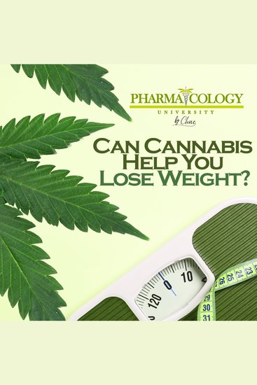 Can Cannabis Help You Lose Weight? - cover