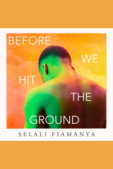 Before We Hit the Ground: The powerful new literary novel for fans of OPEN WATER and EVENINGS AND WEEKENDS - cover