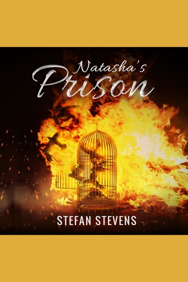 Natasha's Prison - Healing Form Your Prison I Never Knew I was In - cover