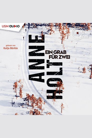 Ein Grab für zwei - Ein Fall für Selma Falck - cover