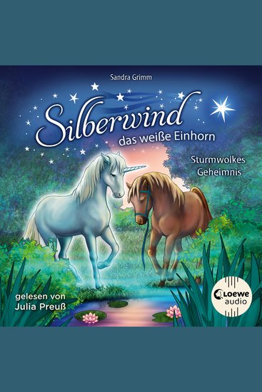 Silberwind das weiße Einhorn (Band 4) - Sturmwolkes Geheimnis - Begleite das Einhorn Silberwind auf seinen Abenteuern - cover