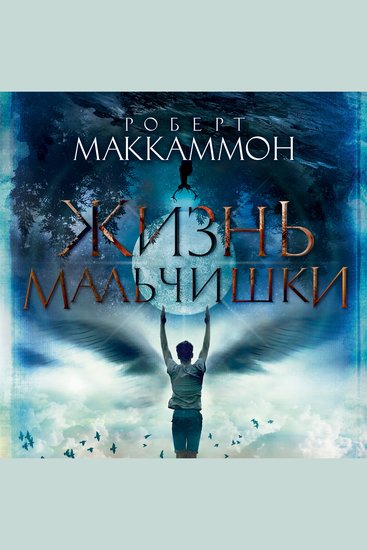 Жизнь мальчишки - cover