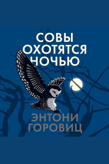 Совы охотятся ночью - cover