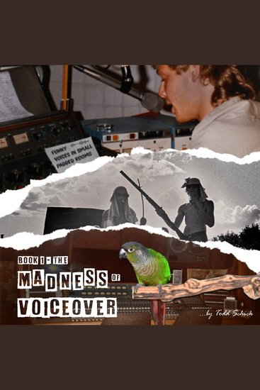 Funny Voices in Small Padded Rooms - The Madness of Voiceover - cover