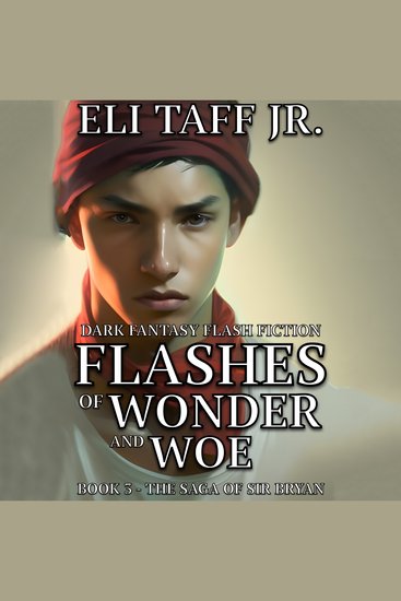 Flashes of Wonder and Woe - cover