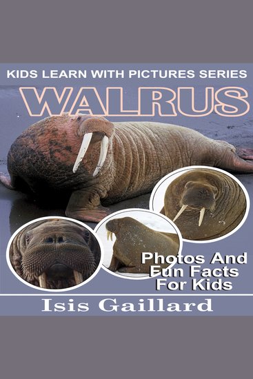 Walrus - Photos and Fun Facts for Kids - cover