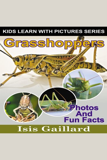 Grasshoppers - Photos and Fun Facts for Kids - cover