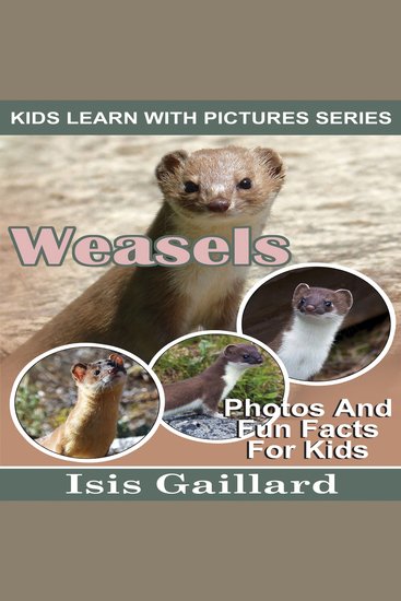 Weasels - Photos and Fun Facts for Kids - cover