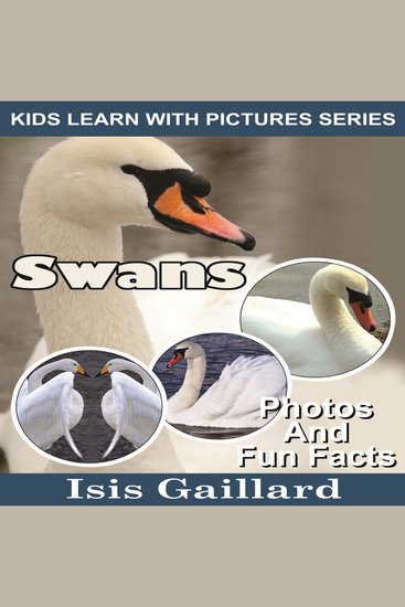Swans - Photos and Fun Facts for Kids - cover