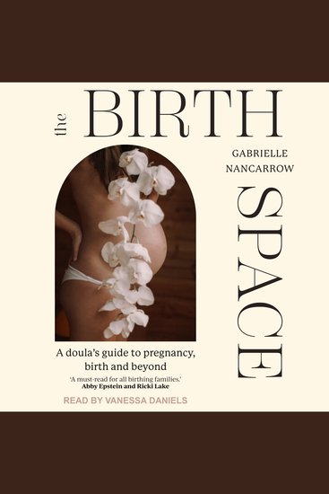 The Birth Space - A Doula's Guide to Pregnancy Birth and Beyond - cover