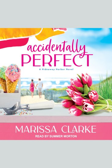 Accidentally Perfect - cover