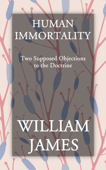 Human Immortality - Two Supposed Objections to the Doctrine - cover