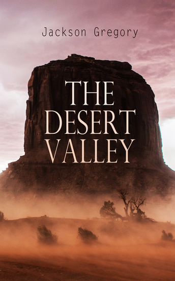 The Desert Valley - Western Novel - cover