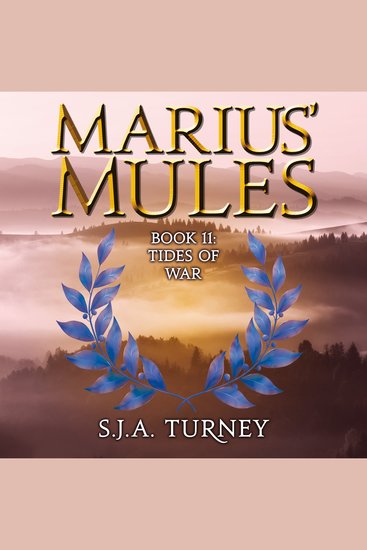Marius' Mules XI: Tides of War - Marius' Mules Book 11 - cover