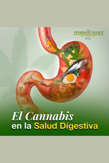 El cannabis en la salud digestiva - cover