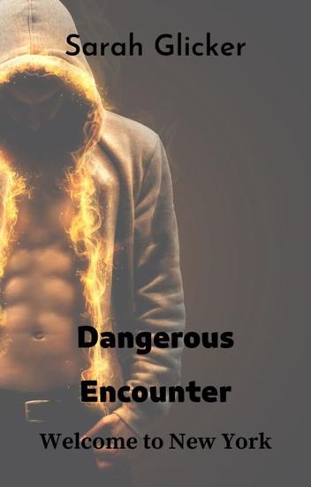 Dangerous Encounter - Welcome to New York - cover