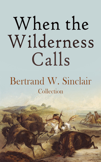 When the Wilderness Calls – Bertrand W Sinclair Collection - Raw Gold Hidden Places The Land of Frozen Suns North of Fifty-Three & more - cover