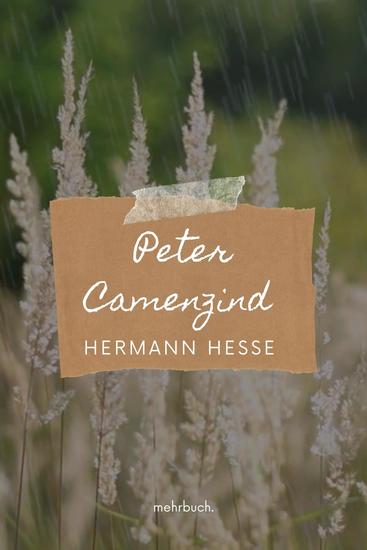 Peter Camenzind - cover