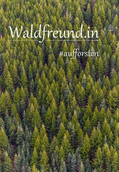 Waldfreundin - cover