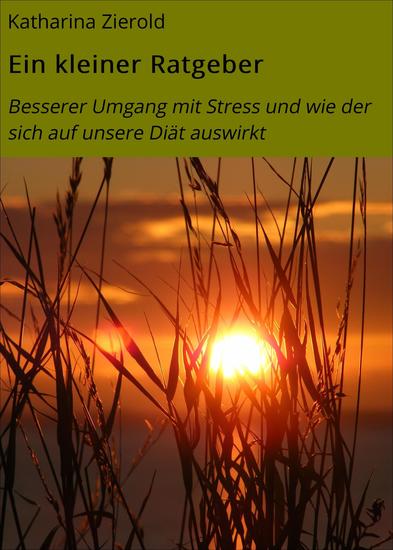 Ein kleiner Ratgeber - Besserer Umgang mit Stress und wie der sich auf unsere Diät auswirkt - cover