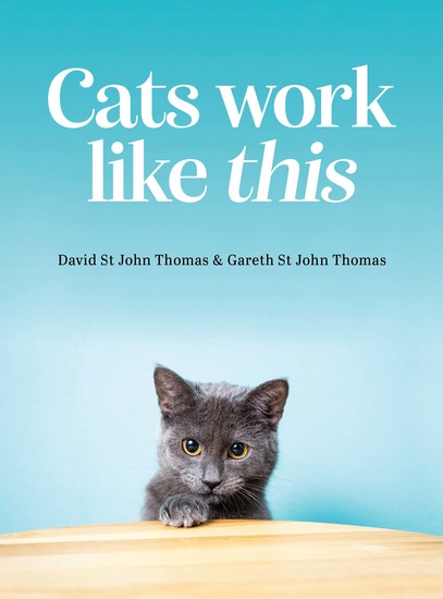 Cats Work Like This - cover